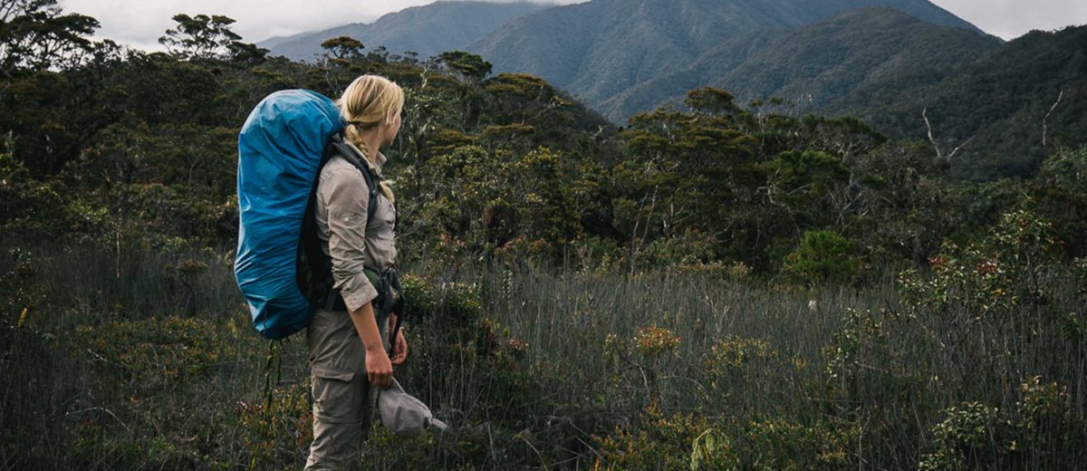 Sumatra Megatransect 2016 - Oli Broadhead