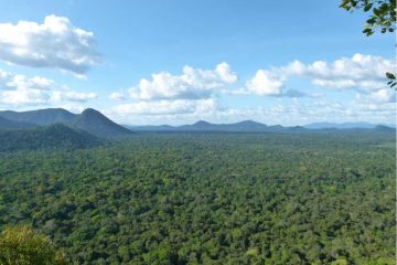 Aberdeen Guyana Expedition 2015