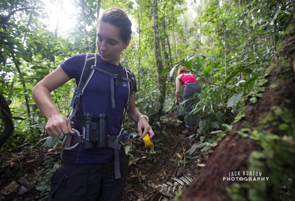 Expedition Cloudbridge Epiphyte Blog Jack Burton
