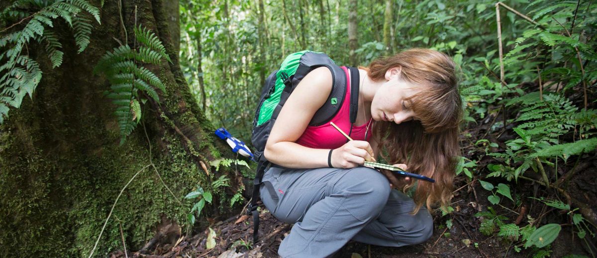 Expedition Cloudbridge Epiphyte Blog Jack Burton (5)